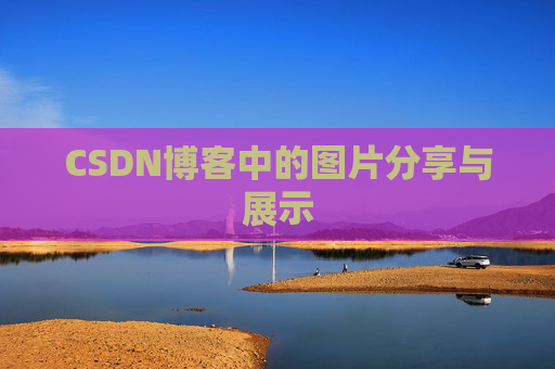 CSDN博客中的图片分享与展示